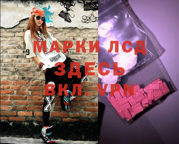 a pvp Новозыбков