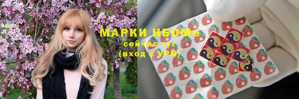 a pvp Новозыбков